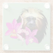 Gouden Leeuw Tamarin Aap Glazen Onderzetter (Achterkant)