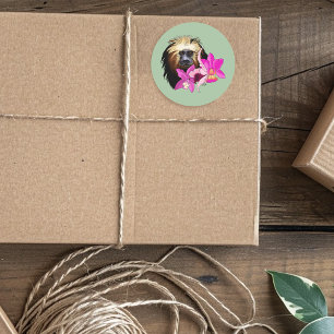 Gouden Leeuw Tamarin Aap Ronde Sticker