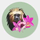 Gouden Leeuw Tamarin Aap Ronde Sticker (Voorkant)