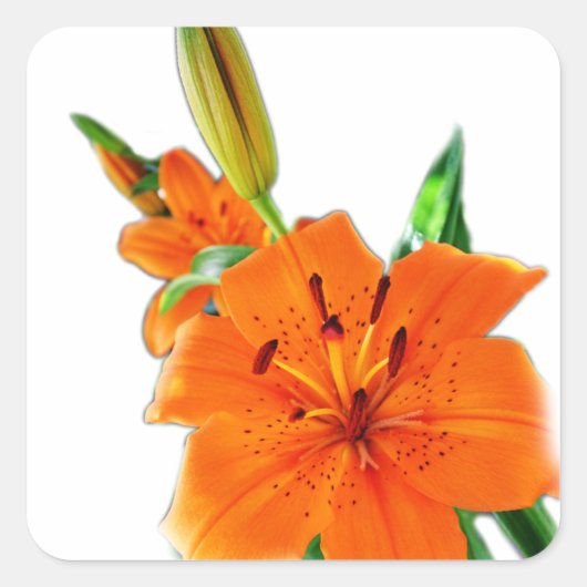 Gouden lelie bloemen vierkante sticker (Voorkant)