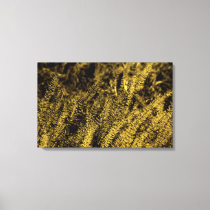 Gouden Licht Gras Canvas Print