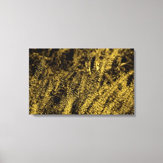 Gouden Licht Gras Canvas Print (Voorkant)