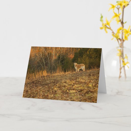 Gouden Lichte Sympathie Kaart (Gele Bloem)