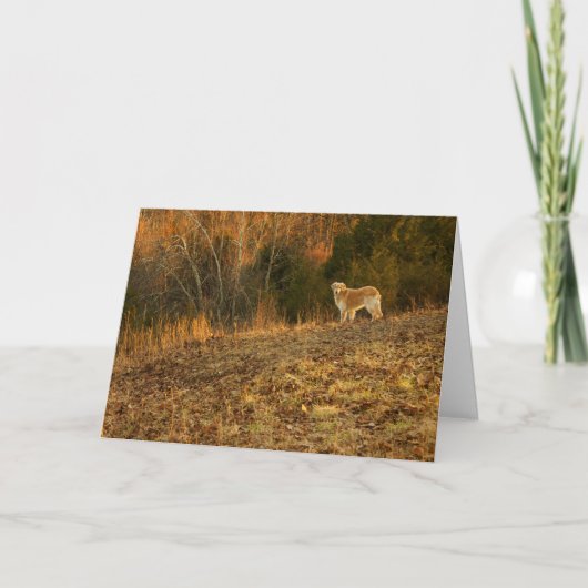 Gouden Lichte Sympathie Kaart (Voorkant)