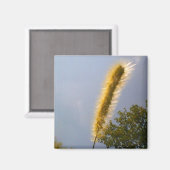 Gouden Loofmagneet Magneet (Voorkant / Achterkant)