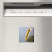 Gouden Loofmagneet Magneet (Insitu (Vaatwasser))