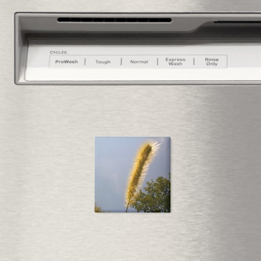 Gouden Loofmagneet Magneet (Insitu (Vaatwasser))