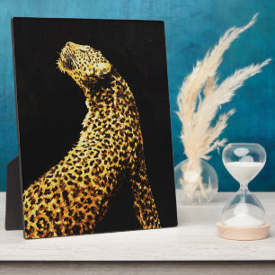 Gouden Luipaard in Schaduw – Chiaroscuro Wildlife Fotoplaat