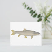 Gouden Mahseer Briefkaart (Staand voorkant)