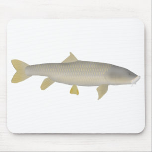 Gouden Mahseer Muismat
