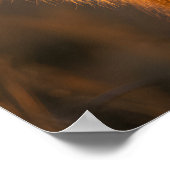 Gouden Majesteit: De Koning Poster (Hoek)