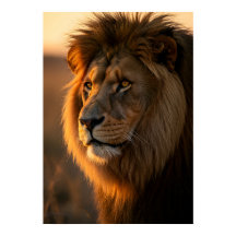 Gouden Majesteit: De Koning