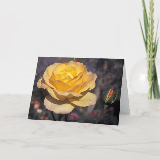 Gouden medaille Roos Kaart