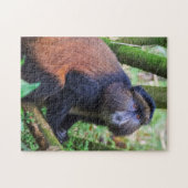 Gouden meerkat, Rwanda Legpuzzel (Horizontaal)