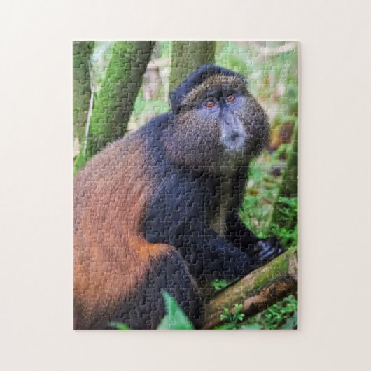 Gouden meerkat, Rwanda Legpuzzel (Verticaal)
