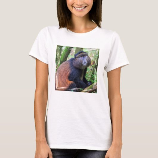Gouden meerkat, Rwanda T-shirt (Voorkant)