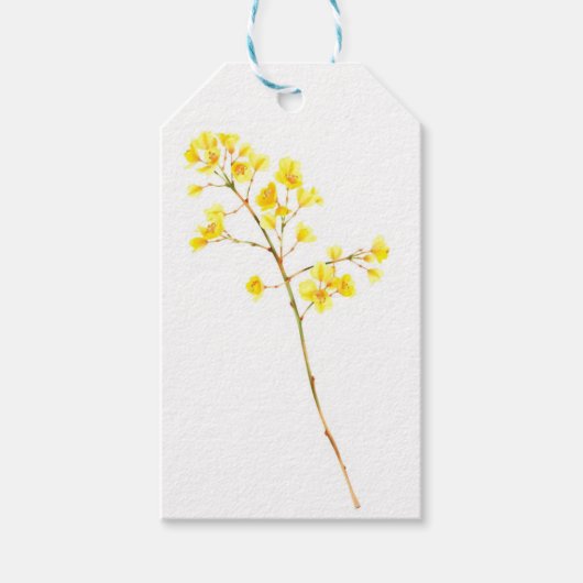 Gouden Mimosa Aquarel Cadeautags Cadeaulabel (Voorkant)
