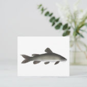 Gouden Nijl Catfish Briefkaart (Staand voorkant)