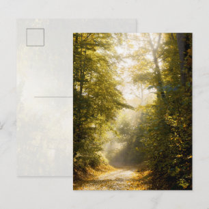 Gouden ochtendpark, originele kunstfotografie briefkaart