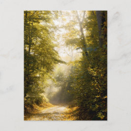 Gouden ochtendpark, originele kunstfotografie briefkaart
