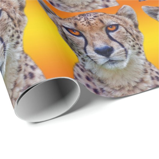 Gouden Ogen Inpakpapier (Rol Hoek)