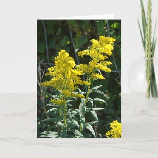 Gouden Onkruid Kaart (Voorkant)