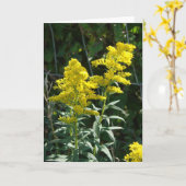 Gouden Onkruid Kaart (Gele Bloem)