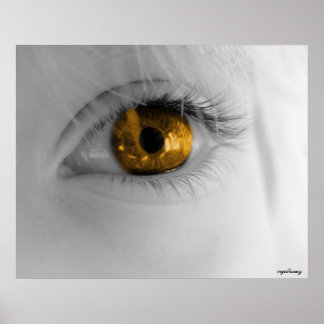 gouden oog poster