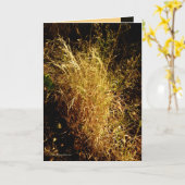 Gouden Oogst Kaart (Gele Bloem)