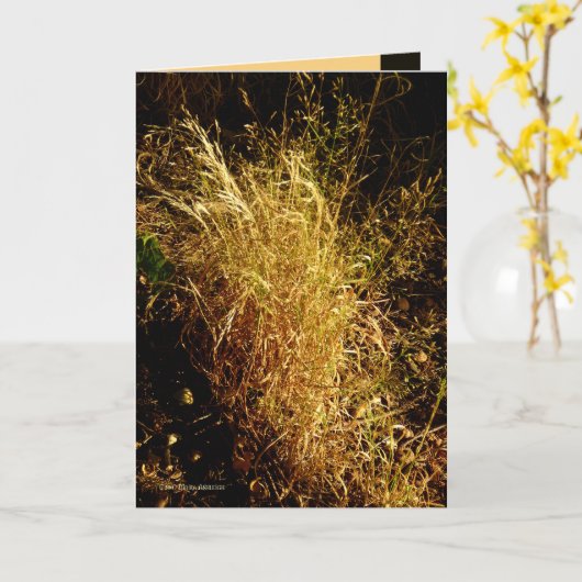 Gouden Oogst Kaart (Gele Bloem)