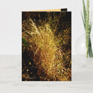 Gouden Oogst Kaart