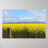 Gouden Oogst Poster (Voorkant)