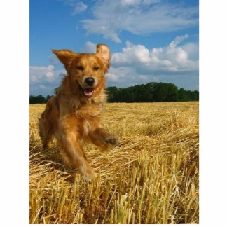 gouden opvrager fotobeeldje ornament