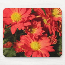 Gouden,oranje kleur madeliefjes bloemen. muismat