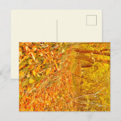 Gouden Pad Briefkaart (Voorkant / Achterkant)