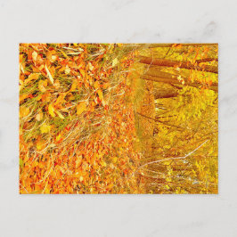 Gouden Pad Briefkaart