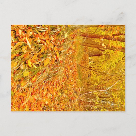 Gouden Pad Briefkaart (Voorkant)