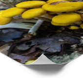 Gouden Paddenstoelen Poster (Hoek)