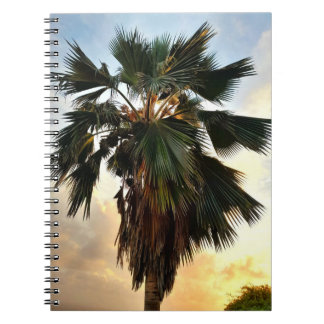 Gouden Palm Sky - Tropisch spiraalnotitieboek Notitieboek