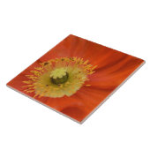 Gouden Papaver - Levendig Botanisch Close-Up Tegeltje (Zijkant)