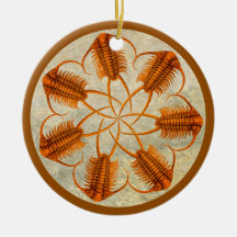 Gouden Paraceraurus fossiel trilobiet wiel