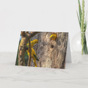 gouden parkiet bedankkaart