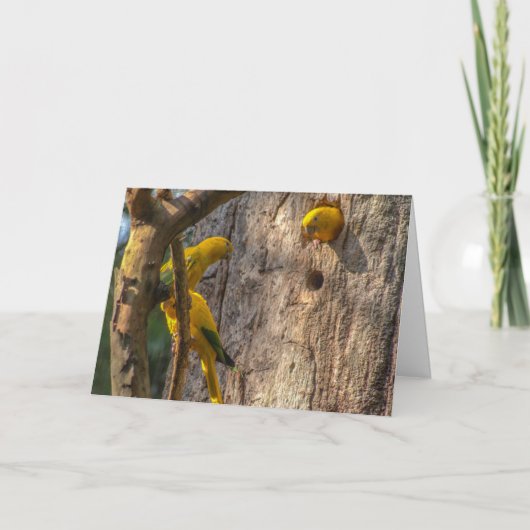 gouden parkiet bedankkaart (Voorkant)