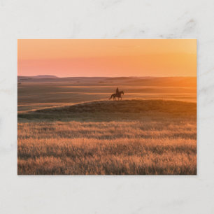 Gouden Prairie-feestuitnodiging - Klassieke wester Briefkaart