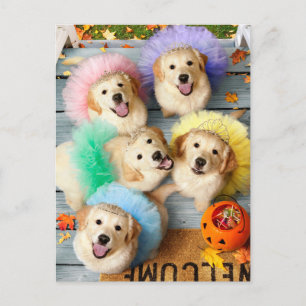 Gouden Puppies gaan Trick-or-Treaten Uitnodiging Briefkaart