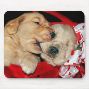 gouden puppies muismat