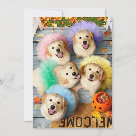 Gouden Puppies Trick or Treating Kaart (Voorkant)