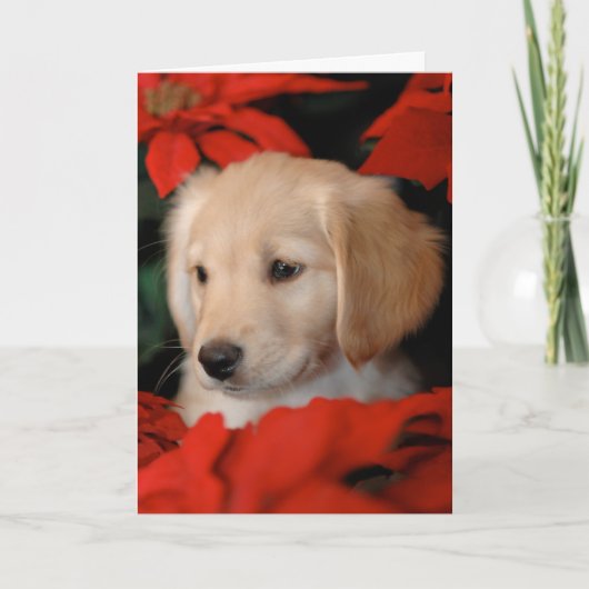 Gouden Puppy en Kerstkaart Poinsetta Feestdagen Kaart (Voorkant)