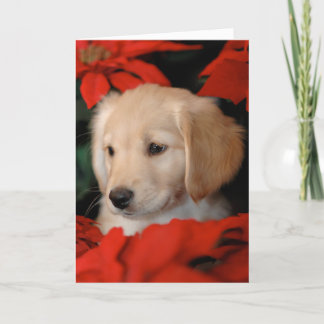 Gouden Puppy en Kerstkaart Poinsetta Feestdagen Kaart