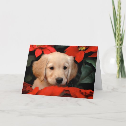 Gouden Puppy en Kerstkaart Poinsetta Feestdagen Kaart (Voorkant)